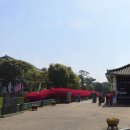 신정리(더리미) 이미지