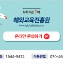 해외교육진흥원 이미지
