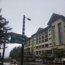 (주)강원랜드수영장 이미지