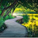 행복한나무 이미지