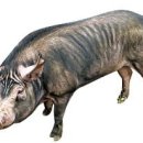 송학농장 이미지