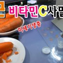 당근 비타민C 사멸실험 / 식후 비타민C 먹고 6시간이면 사멸 이미지
