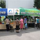 장터 이미지
