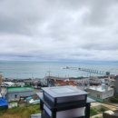 스테이 청춘 네이버블로그