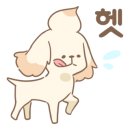 타카독스 커피 이미지