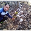 생곡리농장 이미지