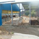 한우농장2 이미지