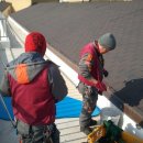 블루밍애드 이미지