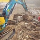 국일농장 이미지