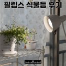 북향 | 북향 식집사 필립스 식물등 후기