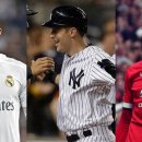 TOP 스포츠 이미지