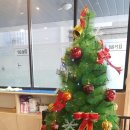 디어마이퍼피 이미지