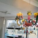 워킹퍼피 이미지