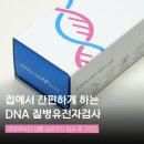 해본 건강 | 질병유전자검사 대비 키트 DNA LIFE LAP 직접해본 후기