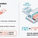 수익의 환상 숨은 비용 파헤치기 이미지