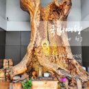 목굴암오백나한전 네이버블로그