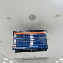 롯데렌터카 | 1월 제주여행 | 부모님과 같이 떠난 여행 | 롯데렌터카 후기