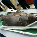 자원개발연구소 이미지