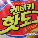 돌아온켄터키 이미지