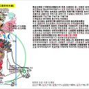 궁을반야여래장 74강-보신불이 빛몸_아뇩다라삼먁삼보리(阿耨多羅三漠三菩提) 의미_10반야바라밀다과정을 통해 중생이 보살52계위 묘각(妙覺 이미지