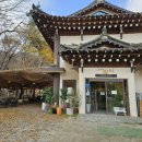 사계절, 몽 | 남한산성 계곡카페 '몽쥬이에'| 19개월 아기랑 가을 나들이 후기(여름 물놀이 꿀팁도!)