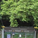 도마치계곡 이미지