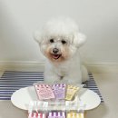 구떼포유 이미지