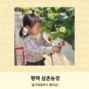 이용기농장 이미지