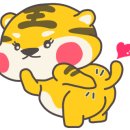 두리케어 이미지