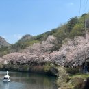 제1761차 산행안내☆마이산십리벚꽃길=진안=4월21일(월요일) 이미지