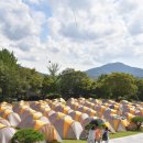 제17회 장수 한우랑 사과랑 축제 이미지