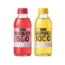 데일리 피쉬 이미지