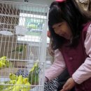 늘품자연유치원 이미지