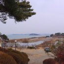 초록언덕펜션 이미지