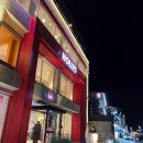 할리스커피 | 🌊 강릉 안목해변 할리스커피 방문후기