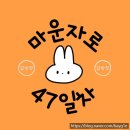 호두온누리약국 | [마운자로 47일차 후기] 종로 마운자로 성지 3만원 가격 인상