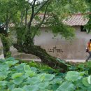 성전면사무소 이미지