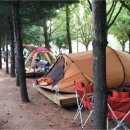 성동 서울숲 여름캠핑장 이미지
