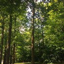 진성한의원 이미지