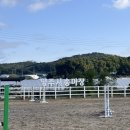 그루고개로 | 양주시 승마장 16개월 아기 승마체험하기 솔직후기