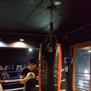 불광복싱클럽 이미지