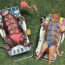 (주)제이오 이미지