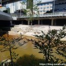 홍제교 밑 이미지