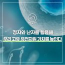 우리가축 인공수정 이미지