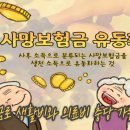 (덕계)미래를 준비하는 나만의 재무설계 | 종신보험의 변신! 사망보험금 유동화 제도로 노후를 제대로 준비하는 방법