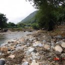 들길 따라서 이미지