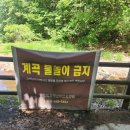 가평 유명산자연휴양림 아이랑 다녀온 후기｜계곡 현재 상황·무료 실내놀이터까지