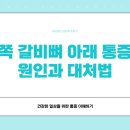 건강보탬 | 왼쪽갈비뼈아래통증 원인부터 정밀 검사까지 직접 겪어보고 정리한 건강 정보 후기