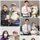 랙돌캐터리파이널돌 | 랙돌캐터리> 마론도리스 5번째 TICA SGC 탄생!