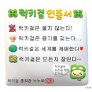 에이치앤에프 네이버블로그